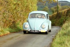 2025_Autumn_Leaves_-051