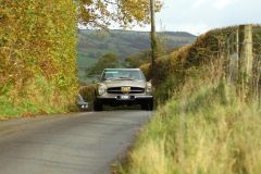 2025_Autumn_Leaves_-052