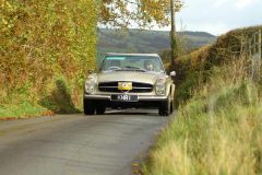 2025_Autumn_Leaves_-054