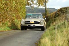 2025_Autumn_Leaves_-055