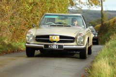 2025_Autumn_Leaves_-057