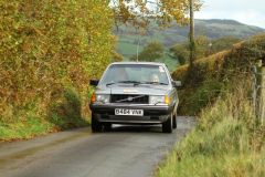 2025_Autumn_Leaves_-063