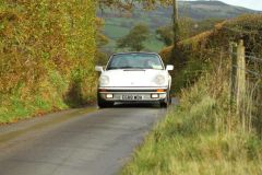 2025_Autumn_Leaves_-072