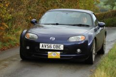 2025_Autumn_Leaves_-085