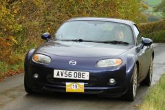 2025_Autumn_Leaves_-086