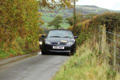 2025_Autumn_Leaves_-087