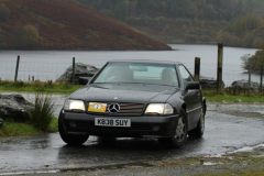 2025_Autumn_Leaves_-106