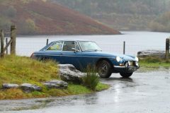 2025_Autumn_Leaves_-113