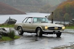 2025_Autumn_Leaves_-125