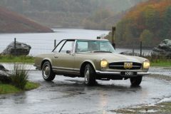 2025_Autumn_Leaves_-126