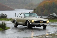 2025_Autumn_Leaves_-127