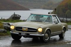 2025_Autumn_Leaves_-128