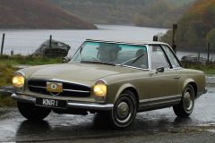 2025_Autumn_Leaves_-129