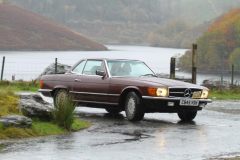 2025_Autumn_Leaves_-130