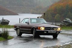 2025_Autumn_Leaves_-132