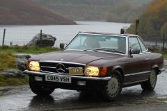 2025_Autumn_Leaves_-134