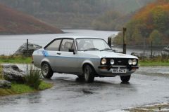 2025_Autumn_Leaves_-140