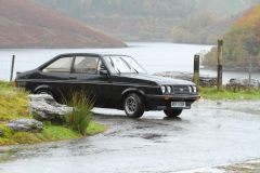 2025_Autumn_Leaves_-155