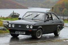 2025_Autumn_Leaves_-161