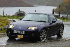 2025_Autumn_Leaves_-169