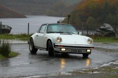 2025_Autumn_Leaves_-173