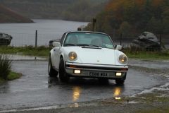 2025_Autumn_Leaves_-175