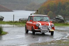 2025_Autumn_Leaves_-178