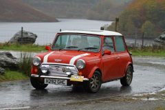 2025_Autumn_Leaves_-179