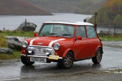 2025_Autumn_Leaves_-180