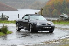 2025_Autumn_Leaves_-184