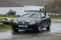 2025_Autumn_Leaves_-185