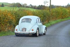 2025_Autumn_Leaves_-197