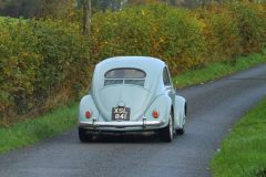 2025_Autumn_Leaves_-198