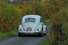 2025_Autumn_Leaves_-199