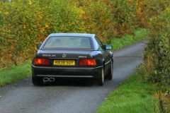 2025_Autumn_Leaves_-200