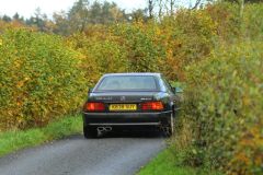 2025_Autumn_Leaves_-201