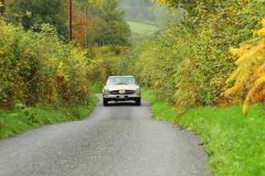 2025_Autumn_Leaves_-202