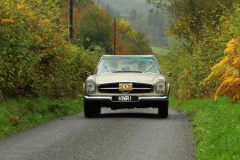 2025_Autumn_Leaves_-204