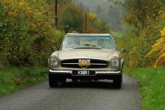 2025_Autumn_Leaves_-205