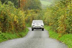 2025_Autumn_Leaves_-210