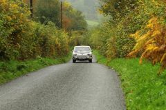 2025_Autumn_Leaves_-211