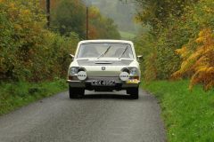 2025_Autumn_Leaves_-212