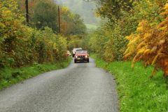 2025_Autumn_Leaves_-213