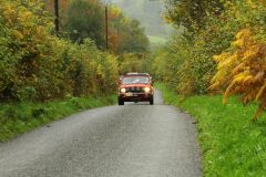 2025_Autumn_Leaves_-214