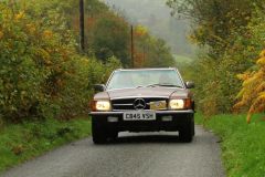 2025_Autumn_Leaves_-217