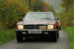 2025_Autumn_Leaves_-219