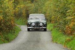 2025_Autumn_Leaves_-228