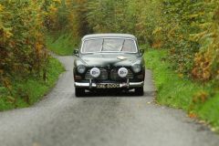 2025_Autumn_Leaves_-229