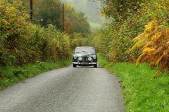 2025_Autumn_Leaves_-230