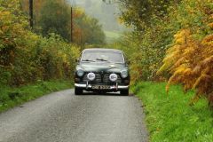 2025_Autumn_Leaves_-231